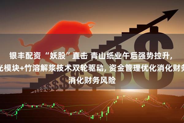 银丰配资 “妖股”直击 青山纸业午后强势拉升, 高速光模块+竹溶解浆技术双轮驱动, 资金管理优化消化财务风险