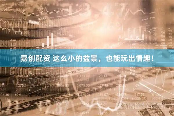 嘉创配资 这么小的盆景，也能玩出情趣！
